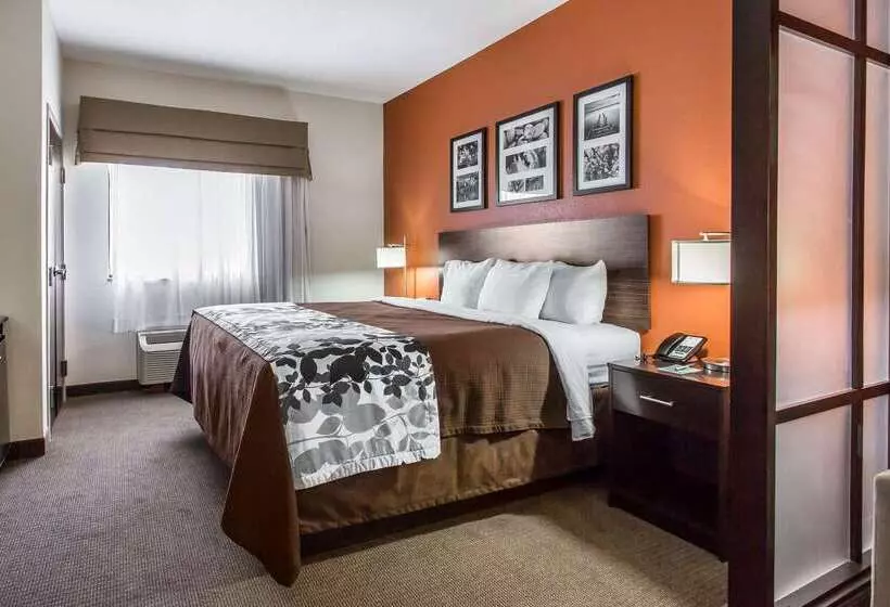 酒店 Sleep Inn And Suites Lubbock