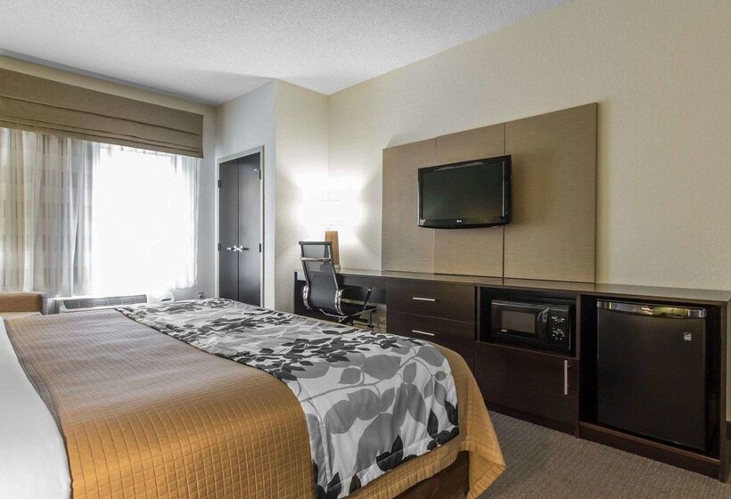酒店 Sleep Inn & Suites