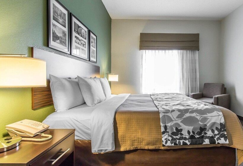 酒店 Sleep Inn & Suites