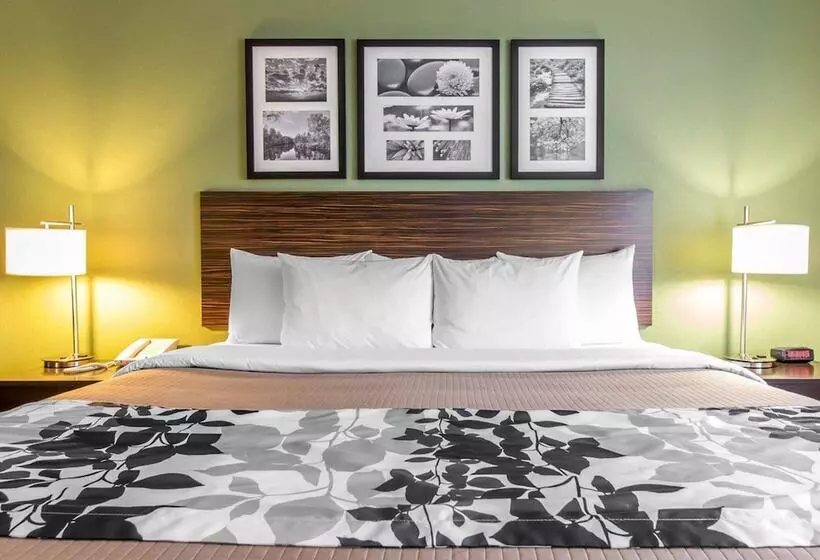 酒店 Sleep Inn & Suites