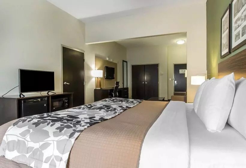 酒店 Sleep Inn & Suites