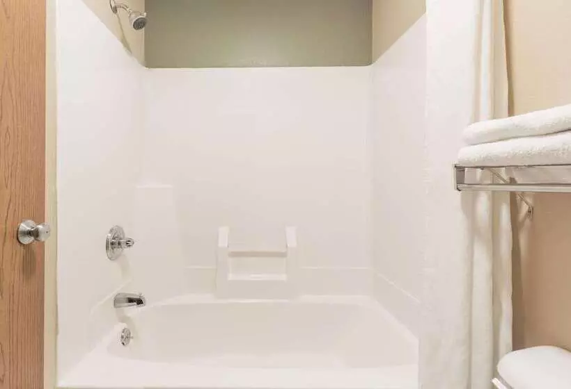 Отель Super 8 By Wyndham Greenville