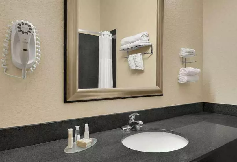 酒店 Baymont By Wyndham Marrero