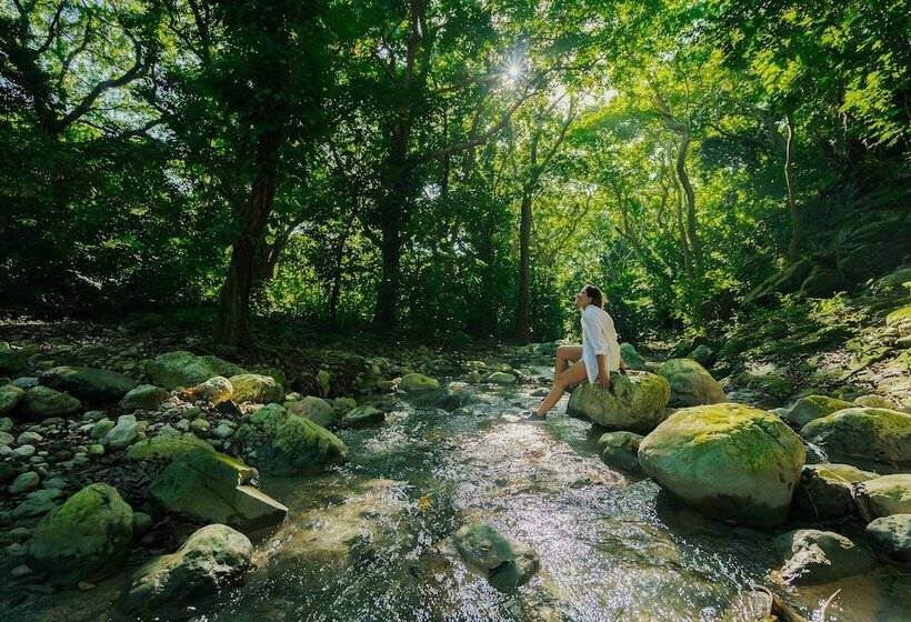 هتل Casa Bonita Tropical Lodge