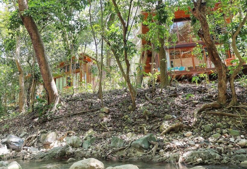 هتل Casa Bonita Tropical Lodge