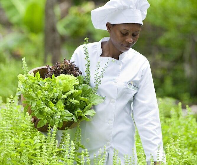 هتل Casa Bonita Tropical Lodge