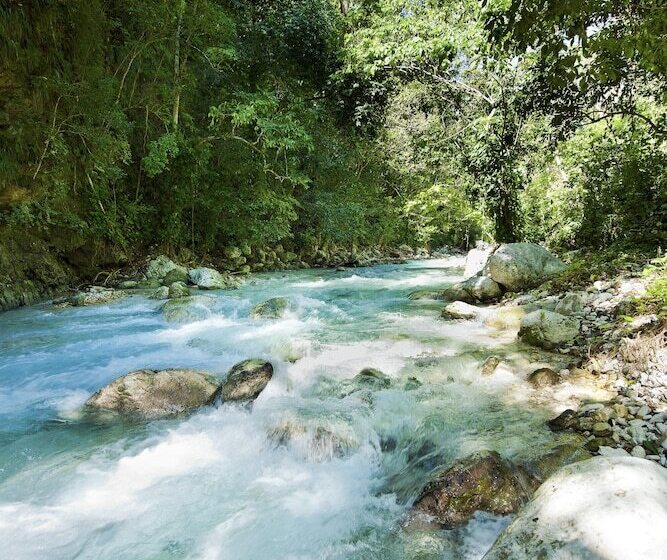 هتل Casa Bonita Tropical Lodge