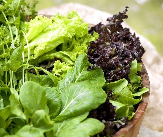 هتل Casa Bonita Tropical Lodge