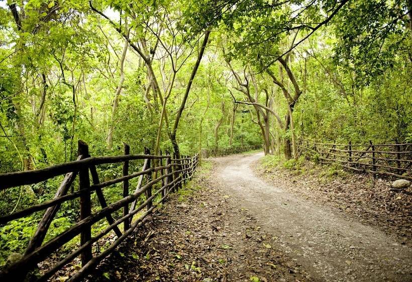 هتل Casa Bonita Tropical Lodge