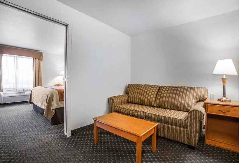 Отель Comfort Inn & Suites