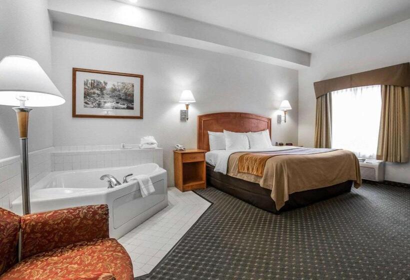 בית מלון כפרי Comfort Inn & Suites