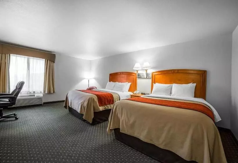 Отель Comfort Inn & Suites