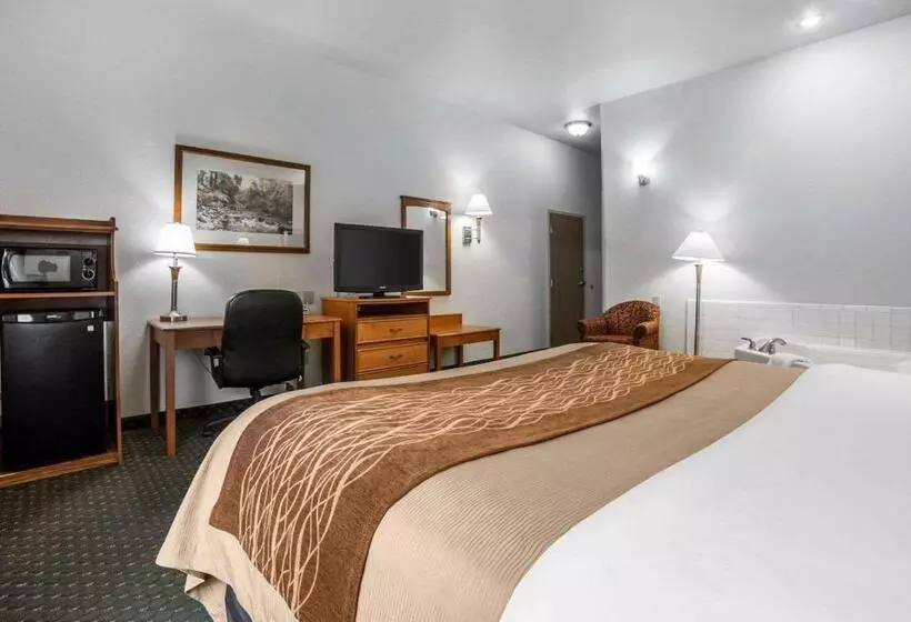 Отель Comfort Inn & Suites