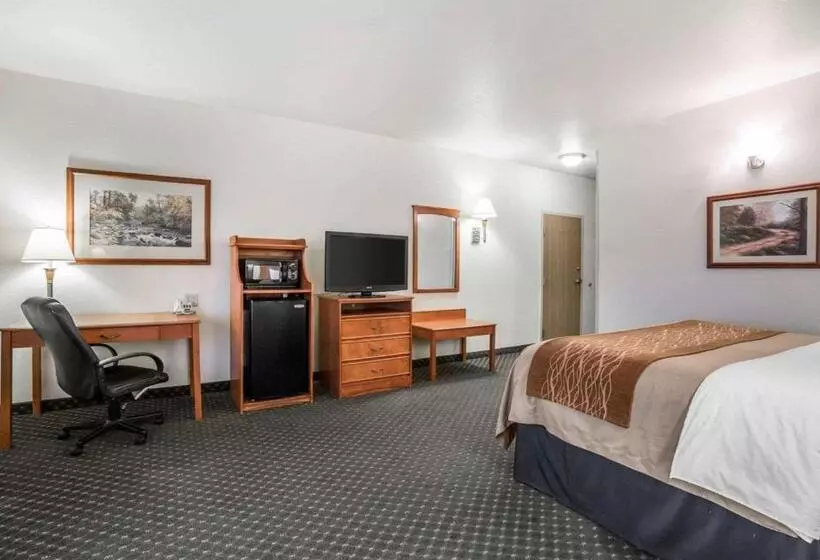 Отель Comfort Inn & Suites