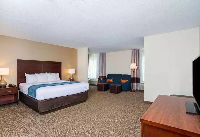 호텔 Comfort Inn Naugatuck Shelton, Ct