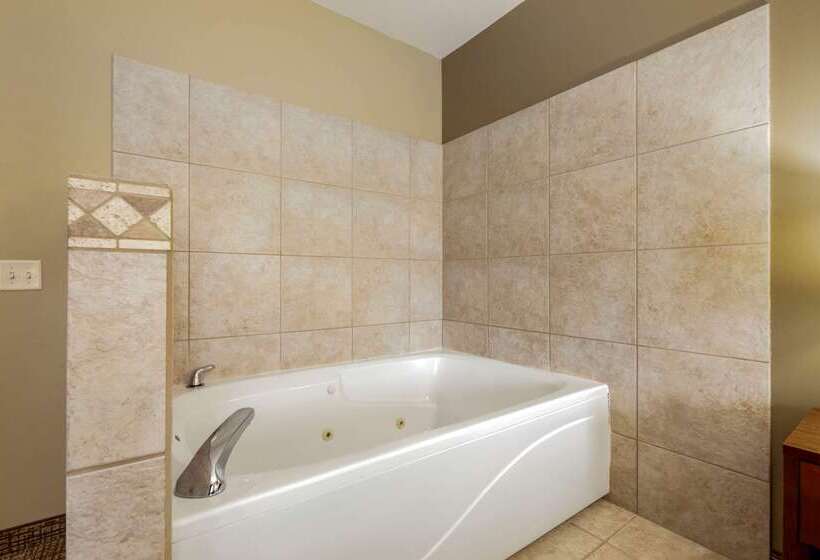 ホテル Comfort Inn Ploverstevens Point