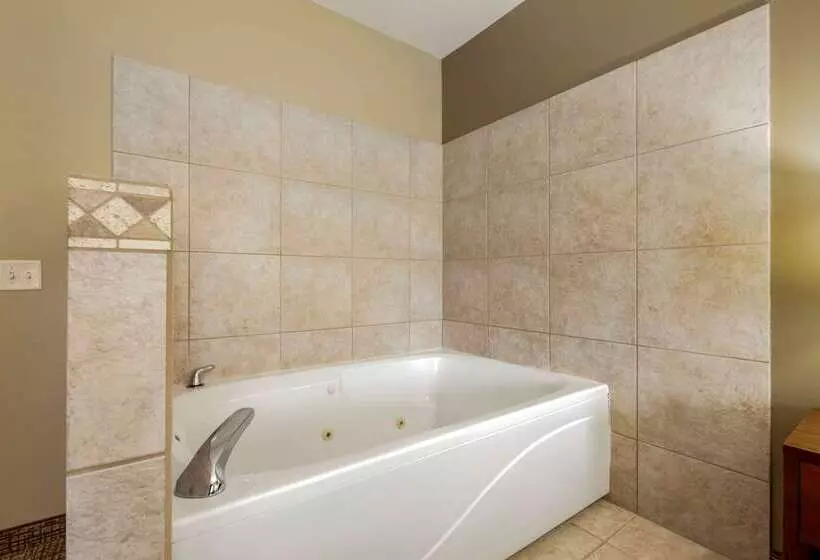 Отель Comfort Inn Ploverstevens Point