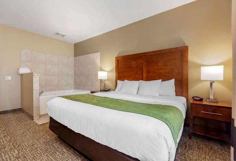 ホテル Comfort Inn Ploverstevens Point