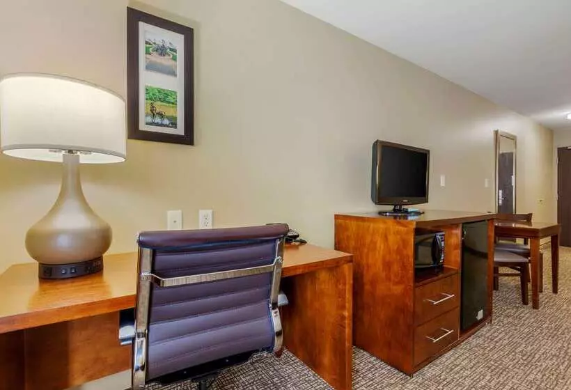 Отель Comfort Inn Ploverstevens Point