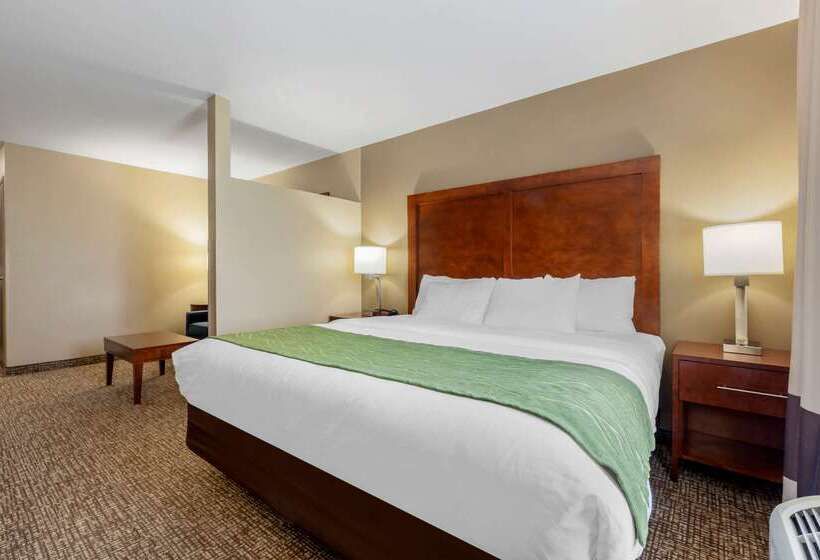 ホテル Comfort Inn Ploverstevens Point