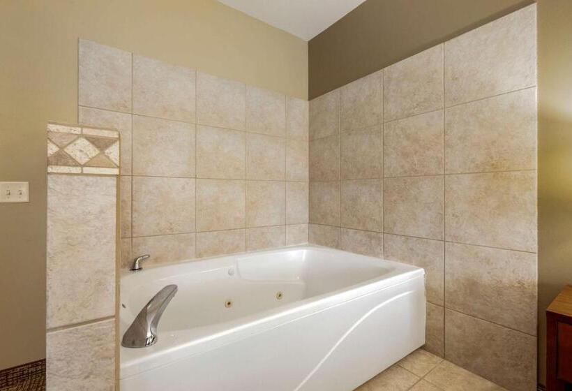 ホテル Comfort Inn Ploverstevens Point