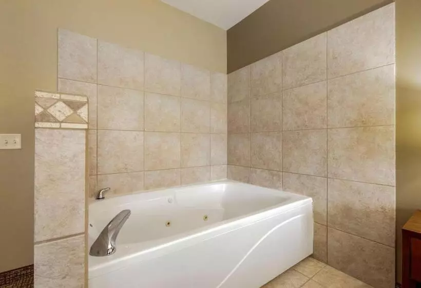 Отель Comfort Inn Ploverstevens Point