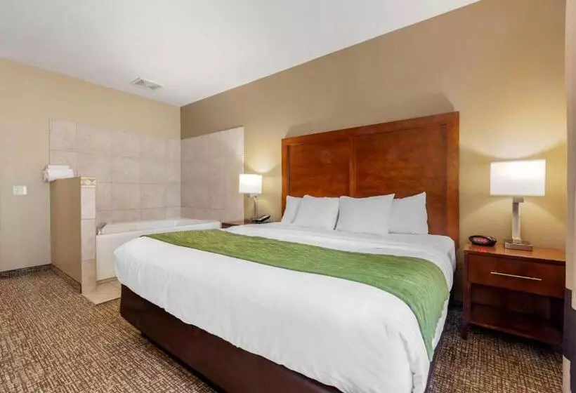 Отель Comfort Inn Ploverstevens Point