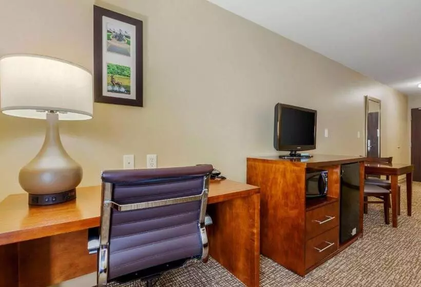 Отель Comfort Inn Ploverstevens Point