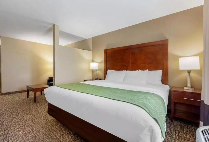 Отель Comfort Inn Ploverstevens Point