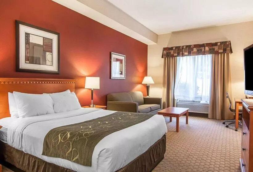 酒店 Comfort Suites Redmond Airport