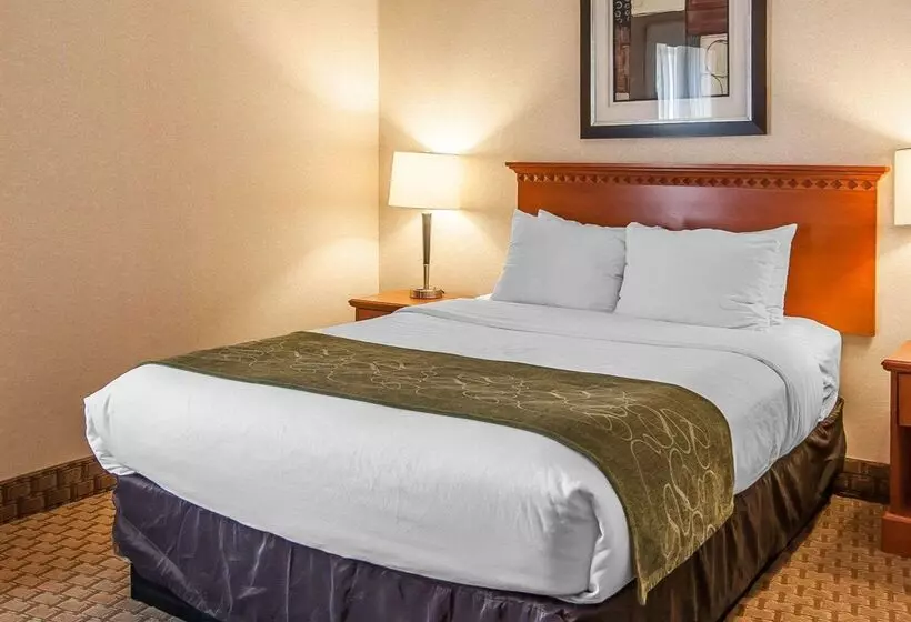 酒店 Comfort Suites Redmond Airport