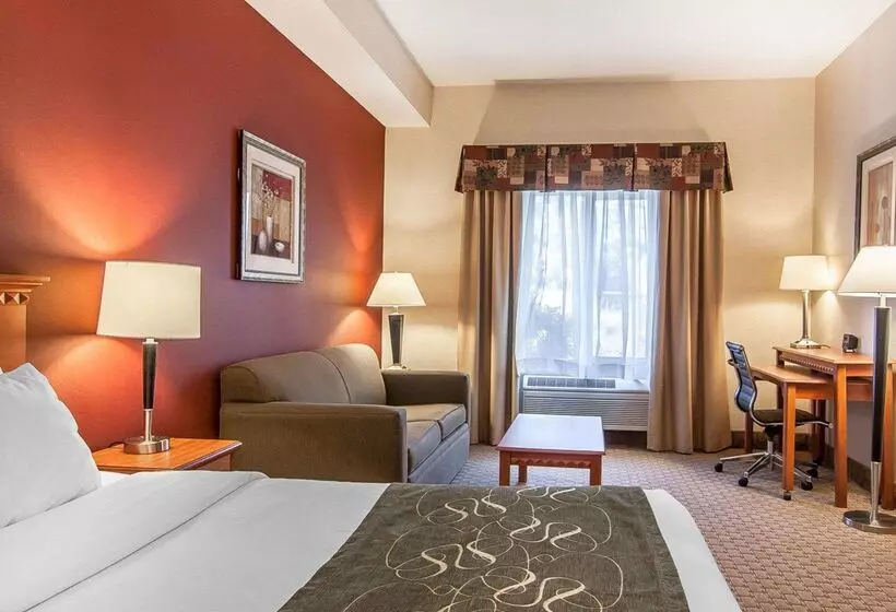 酒店 Comfort Suites Redmond Airport