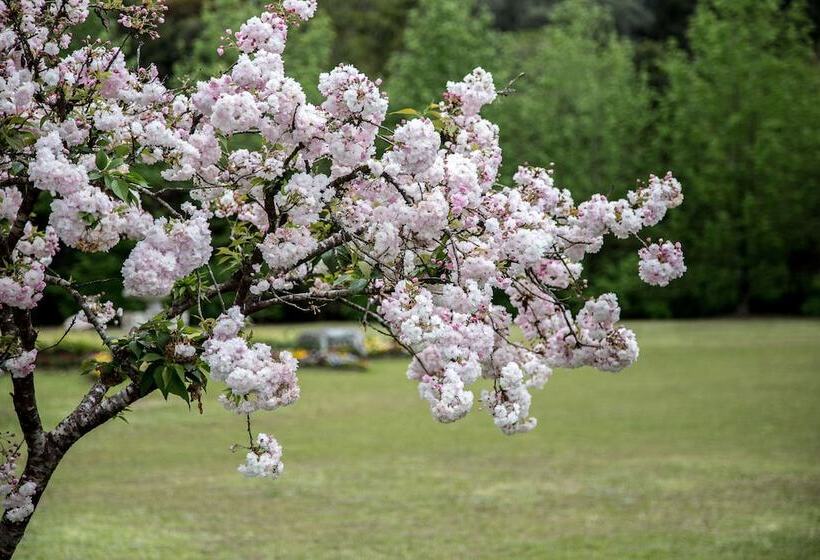 هتل Gramado Palace