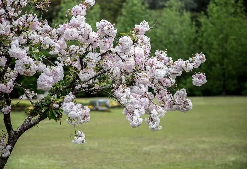 Hotel Gramado Palace