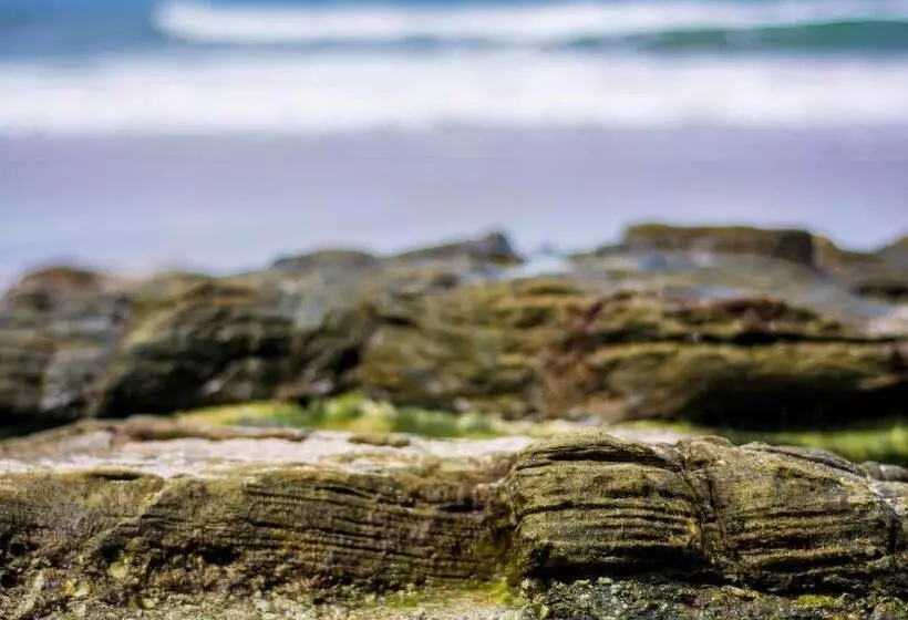 Отель Nautilus Surf & Yoga Villas Santa Teresa