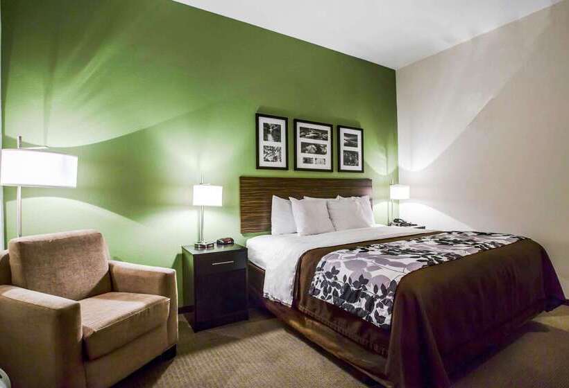 酒店 Sleep Inn & Suites Marion Military Institute