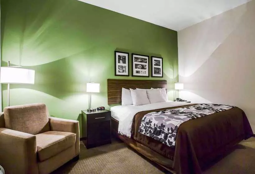 酒店 Sleep Inn & Suites Marion  Military Institute