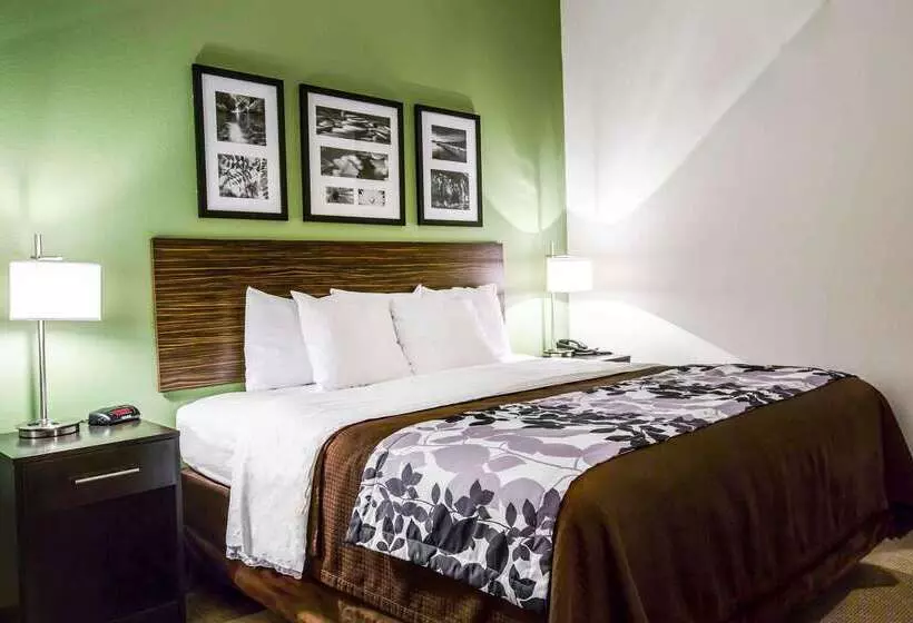 酒店 Sleep Inn & Suites Marion  Military Institute