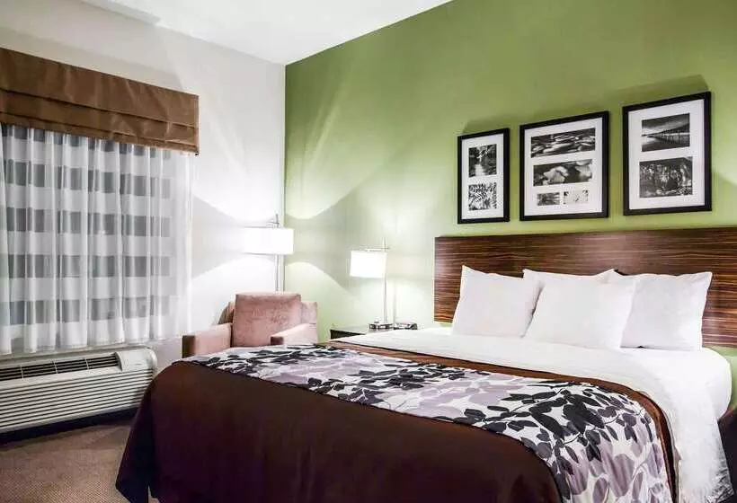 酒店 Sleep Inn & Suites Marion  Military Institute