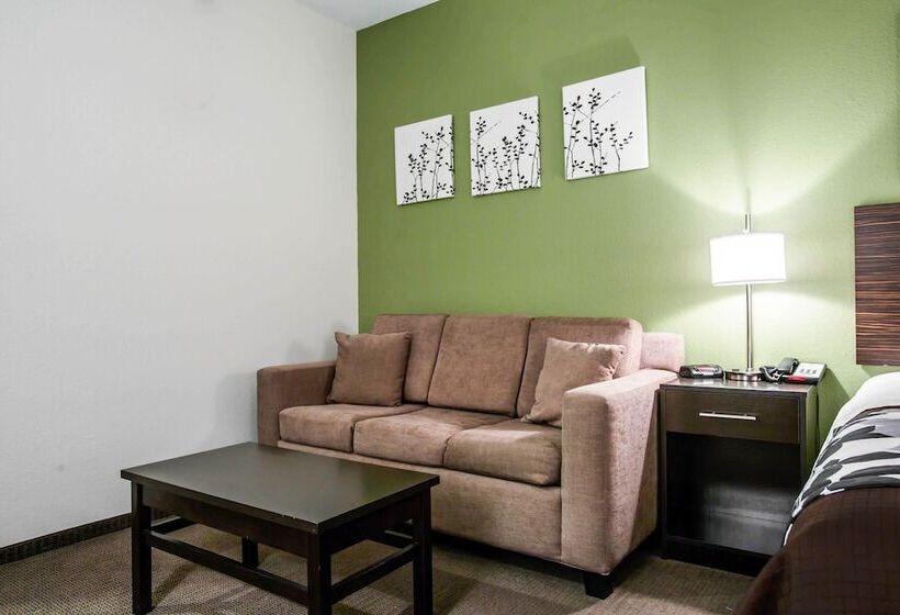 酒店 Sleep Inn & Suites Marion Military Institute