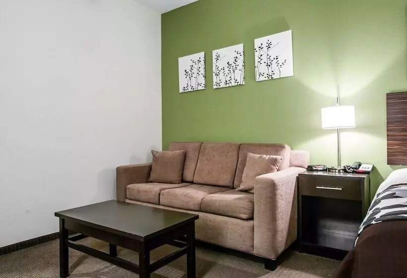酒店 Sleep Inn & Suites Marion  Military Institute