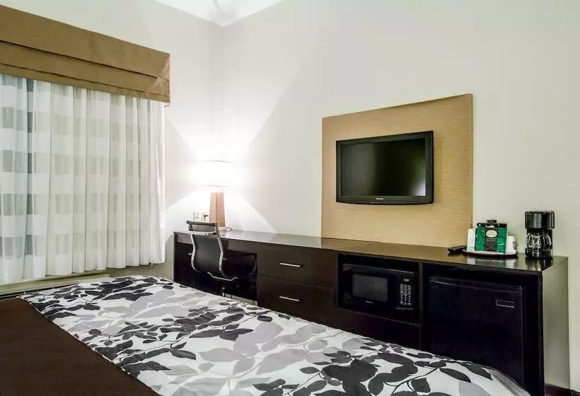 酒店 Sleep Inn & Suites Marion  Military Institute