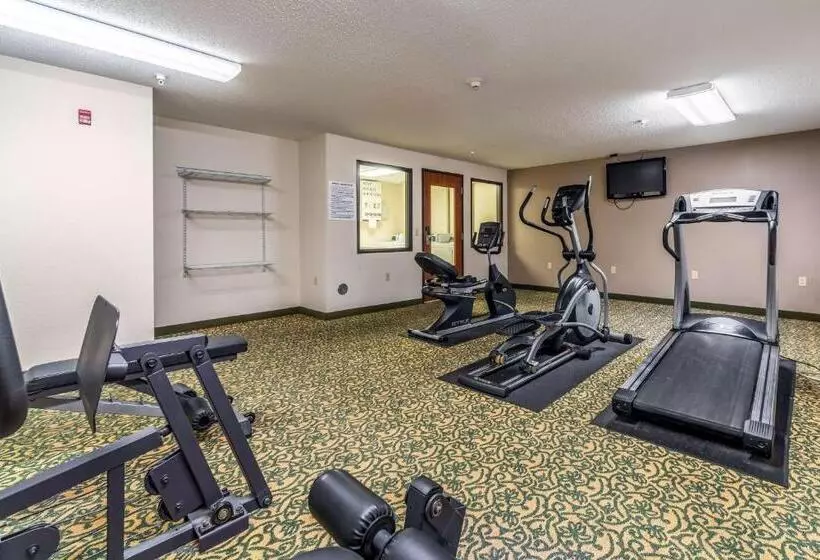 酒店 Welcome Suiteso Fallon