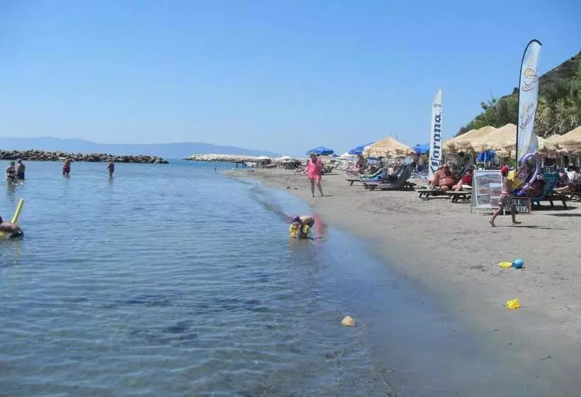 Hercules Sea Front Studios