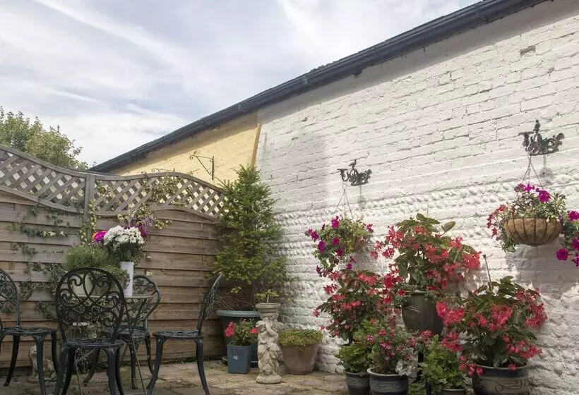 ホテル Albert & Victoria Guest House