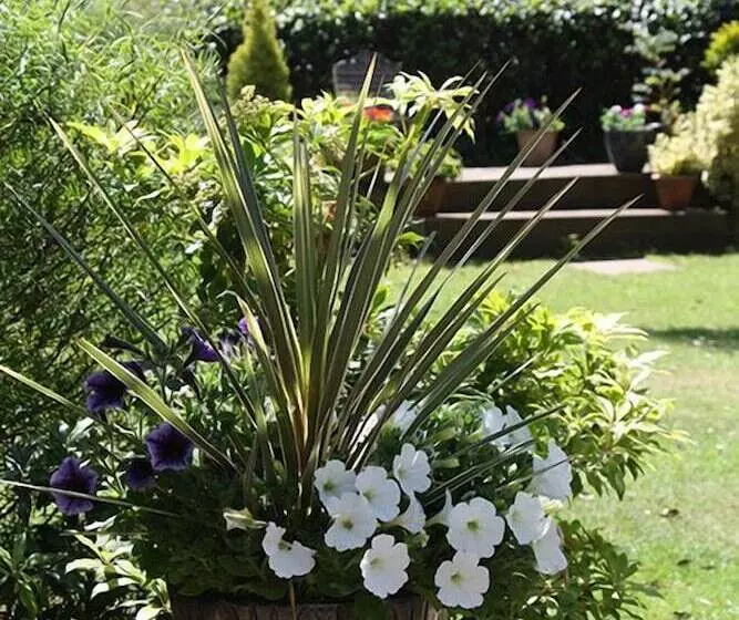 ホテル Gyllyngvase House