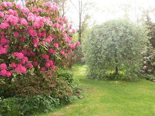 فندق Hollyburn House