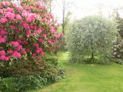 Отель Hollyburn House