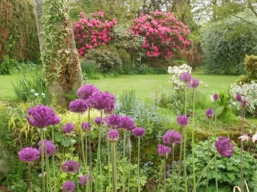 Отель Hollyburn House