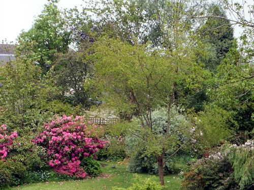 فندق Hollyburn House